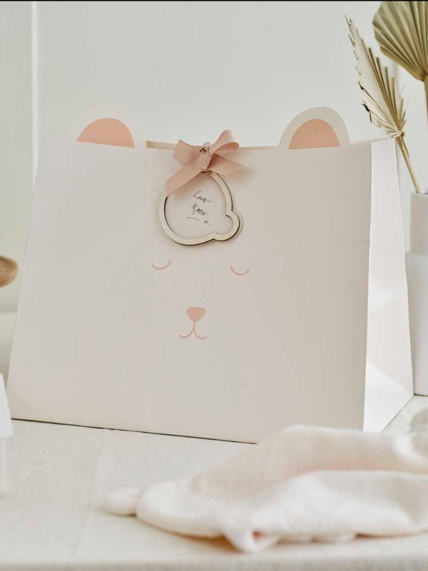 Teddy Bear Baby Shower Gift Bag