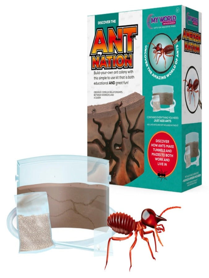 Ant Colony